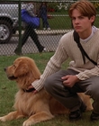 Filename=2000_-_Air_Bud_3_World_Pup_mp40908.jpg
Filesize=1179KiB
Dimensions=1920x1040
Date added=Dec 29, 2023 2000_-_Air_Bud_3_World_Pup_mp40908.jpg