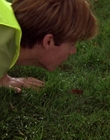 2000_-_Air_Bud_3_World_Pup_mp41188.jpg