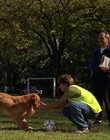 Filename=2000_-_Air_Bud_3_World_Pup_mp41256.jpg
Filesize=1262KiB
Dimensions=1920x1040
Date added=Dec 29, 2023 2000_-_Air_Bud_3_World_Pup_mp41256.jpg