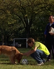Filename=2000_-_Air_Bud_3_World_Pup_mp41257.jpg
Filesize=1278KiB
Dimensions=1920x1040
Date added=Dec 29, 2023 2000_-_Air_Bud_3_World_Pup_mp41257.jpg