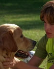 Filename=2000_-_Air_Bud_3_World_Pup_mp41262.jpg
Filesize=941KiB
Dimensions=1920x1040
Date added=Dec 29, 2023 2000_-_Air_Bud_3_World_Pup_mp41262.jpg