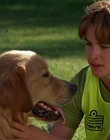 Filename=2000_-_Air_Bud_3_World_Pup_mp41263.jpg
Filesize=944KiB
Dimensions=1920x1040
Date added=Dec 29, 2023 2000_-_Air_Bud_3_World_Pup_mp41263.jpg