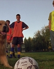 Filename=2000_-_Air_Bud_3_World_Pup_mp41268.jpg
Filesize=1016KiB
Dimensions=1920x1040
Date added=Dec 29, 2023 2000_-_Air_Bud_3_World_Pup_mp41268.jpg
