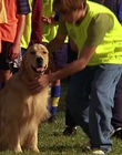 Filename=2000_-_Air_Bud_3_World_Pup_mp41290.jpg
Filesize=1064KiB
Dimensions=1920x1040
Date added=Dec 29, 2023 2000_-_Air_Bud_3_World_Pup_mp41290.jpg