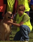 Filename=2000_-_Air_Bud_3_World_Pup_mp41291.jpg
Filesize=1060KiB
Dimensions=1920x1040
Date added=Dec 29, 2023 2000_-_Air_Bud_3_World_Pup_mp41291.jpg