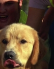 Filename=2000_-_Air_Bud_3_World_Pup_mp41303.jpg
Filesize=777KiB
Dimensions=1920x1040
Date added=Dec 29, 2023 2000_-_Air_Bud_3_World_Pup_mp41303.jpg