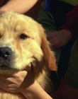 Filename=2000_-_Air_Bud_3_World_Pup_mp41304.jpg
Filesize=870KiB
Dimensions=1920x1040
Date added=Dec 29, 2023 2000_-_Air_Bud_3_World_Pup_mp41304.jpg
