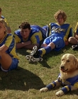 2000_-_Air_Bud_3_World_Pup_mp41518.jpg