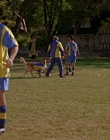 2000_-_Air_Bud_3_World_Pup_mp41600.jpg