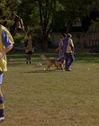 Filename=2000_-_Air_Bud_3_World_Pup_mp41601.jpg
Filesize=1169KiB
Dimensions=1920x1040
Date added=Dec 29, 2023 2000_-_Air_Bud_3_World_Pup_mp41601.jpg