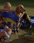 Filename=2000_-_Air_Bud_3_World_Pup_mp41639.jpg
Filesize=1054KiB
Dimensions=1920x1040
Date added=Dec 29, 2023 2000_-_Air_Bud_3_World_Pup_mp41639.jpg