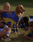 2000_-_Air_Bud_3_World_Pup_mp41644.jpg