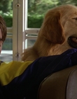 Filename=2000_-_Air_Bud_3_World_Pup_mp42916.jpg
Filesize=917KiB
Dimensions=1920x1040
Date added=Dec 29, 2023 2000_-_Air_Bud_3_World_Pup_mp42916.jpg