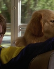Filename=2000_-_Air_Bud_3_World_Pup_mp42918.jpg
Filesize=943KiB
Dimensions=1920x1040
Date added=Dec 29, 2023 2000_-_Air_Bud_3_World_Pup_mp42918.jpg
