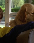 Filename=2000_-_Air_Bud_3_World_Pup_mp42919.jpg
Filesize=932KiB
Dimensions=1920x1040
Date added=Dec 29, 2023 2000_-_Air_Bud_3_World_Pup_mp42919.jpg