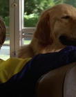 Filename=2000_-_Air_Bud_3_World_Pup_mp42921.jpg
Filesize=916KiB
Dimensions=1920x1040
Date added=Dec 29, 2023 2000_-_Air_Bud_3_World_Pup_mp42921.jpg