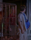 2000_-_Air_Bud_3_World_Pup_mp44100.jpg