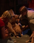 Filename=2000_-_Air_Bud_3_World_Pup_mp44152.jpg
Filesize=924KiB
Dimensions=1920x1040
Date added=Dec 29, 2023 2000_-_Air_Bud_3_World_Pup_mp44152.jpg