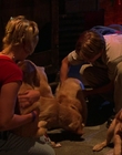 Filename=2000_-_Air_Bud_3_World_Pup_mp44153.jpg
Filesize=920KiB
Dimensions=1920x1040
Date added=Dec 29, 2023 2000_-_Air_Bud_3_World_Pup_mp44153.jpg