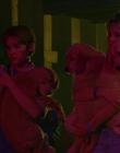 2000_-_Air_Bud_3_World_Pup_mp44169.jpg