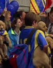 Filename=2000_-_Air_Bud_3_World_Pup_mp44293.jpg
Filesize=1087KiB
Dimensions=1920x1040
Date added=Dec 29, 2023 2000_-_Air_Bud_3_World_Pup_mp44293.jpg