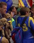 Filename=2000_-_Air_Bud_3_World_Pup_mp44295.jpg
Filesize=1102KiB
Dimensions=1920x1040
Date added=Dec 29, 2023 2000_-_Air_Bud_3_World_Pup_mp44295.jpg