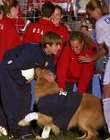 Filename=2000_-_Air_Bud_3_World_Pup_mp44655.jpg
Filesize=1130KiB
Dimensions=1920x1040
Date added=Dec 29, 2023 2000_-_Air_Bud_3_World_Pup_mp44655.jpg