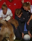 2000_-_Air_Bud_3_World_Pup_mp44661.jpg
