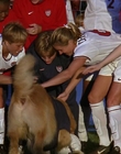2000_-_Air_Bud_3_World_Pup_mp44663.jpg