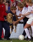 2000_-_Air_Bud_3_World_Pup_mp44671.jpg