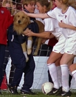 2000_-_Air_Bud_3_World_Pup_mp44672.jpg
