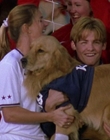 Filename=2000_-_Air_Bud_3_World_Pup_mp44681.jpg
Filesize=919KiB
Dimensions=1920x1040
Date added=Dec 29, 2023 2000_-_Air_Bud_3_World_Pup_mp44681.jpg