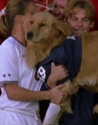 Filename=2000_-_Air_Bud_3_World_Pup_mp44682.jpg
Filesize=918KiB
Dimensions=1920x1040
Date added=Dec 29, 2023 2000_-_Air_Bud_3_World_Pup_mp44682.jpg