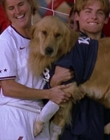Filename=2000_-_Air_Bud_3_World_Pup_mp44683.jpg
Filesize=915KiB
Dimensions=1920x1040
Date added=Dec 29, 2023 2000_-_Air_Bud_3_World_Pup_mp44683.jpg
