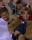 Filename=2000_-_Air_Bud_3_World_Pup_mp44684.jpg
Filesize=941KiB
Dimensions=1920x1040
Date added=Dec 29, 2023 2000_-_Air_Bud_3_World_Pup_mp44684.jpg