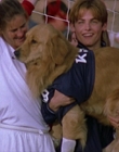 Filename=2000_-_Air_Bud_3_World_Pup_mp44688.jpg
Filesize=922KiB
Dimensions=1920x1040
Date added=Dec 29, 2023 2000_-_Air_Bud_3_World_Pup_mp44688.jpg