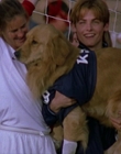 Filename=2000_-_Air_Bud_3_World_Pup_mp44689.jpg
Filesize=856KiB
Dimensions=1920x1040
Date added=Dec 29, 2023 2000_-_Air_Bud_3_World_Pup_mp44689.jpg