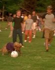 Filename=2002_-_Air_Bud_Seventh_Inning_Fetch_mp40205.jpg
Filesize=861KiB
Dimensions=1920x1080
Date added=Dec 29, 2023 2002_-_Air_Bud_Seventh_Inning_Fetch_mp40205.jpg