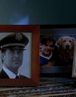 2002_-_Air_Bud_Seventh_Inning_Fetch_mp40419.jpg