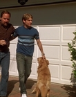 2002_-_Air_Bud_Seventh_Inning_Fetch_mp40445.jpg