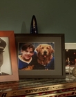 2002_-_Air_Bud_Seventh_Inning_Fetch_mp40532.jpg