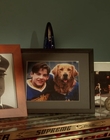 2002_-_Air_Bud_Seventh_Inning_Fetch_mp40533.jpg