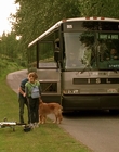 2002_-_Air_Bud_Seventh_Inning_Fetch_mp40833.jpg