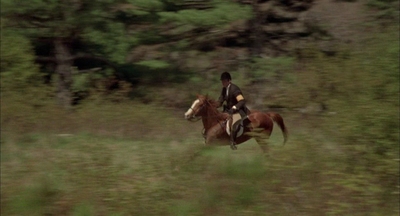 2002_-_Virginias_Run_mp40657.jpg