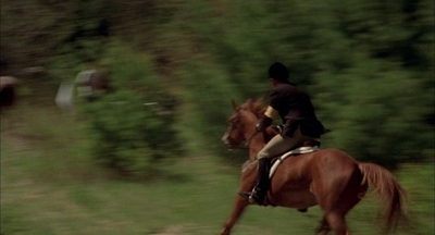2002_-_Virginias_Run_mp40661.jpg