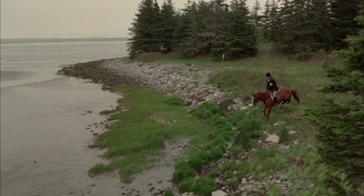 2002_-_Virginias_Run_mp40748.jpg