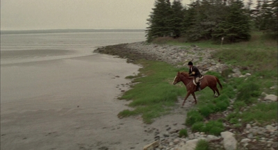 2002_-_Virginias_Run_mp40749.jpg