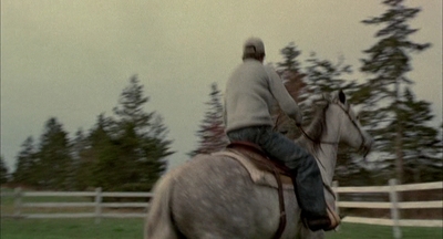 2002_-_Virginias_Run_mp41413.jpg