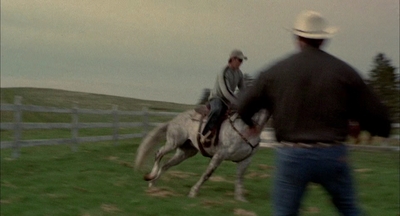 2002_-_Virginias_Run_mp41419.jpg
