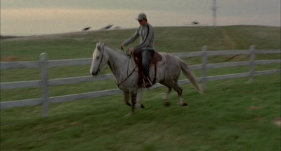 2002_-_Virginias_Run_mp41436.jpg